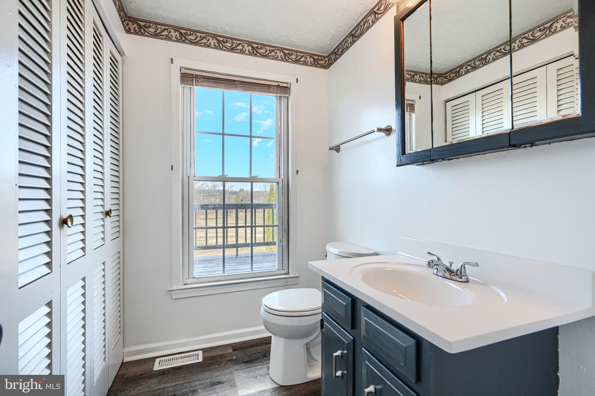 1216 Bachmans Valley Road Westminster, MD 21158 - Photo 24 of 70 a bathroom with a sink toilet a mirror and window