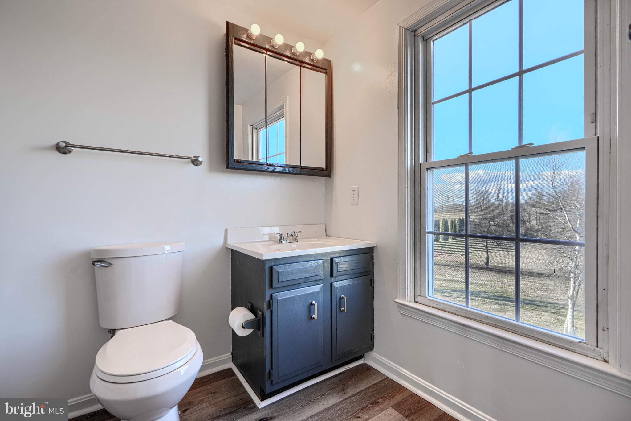 1216 Bachmans Valley Road Westminster, MD 21158 - Photo 50 of 70 a bathroom with a toilet a sink mirror and a window
