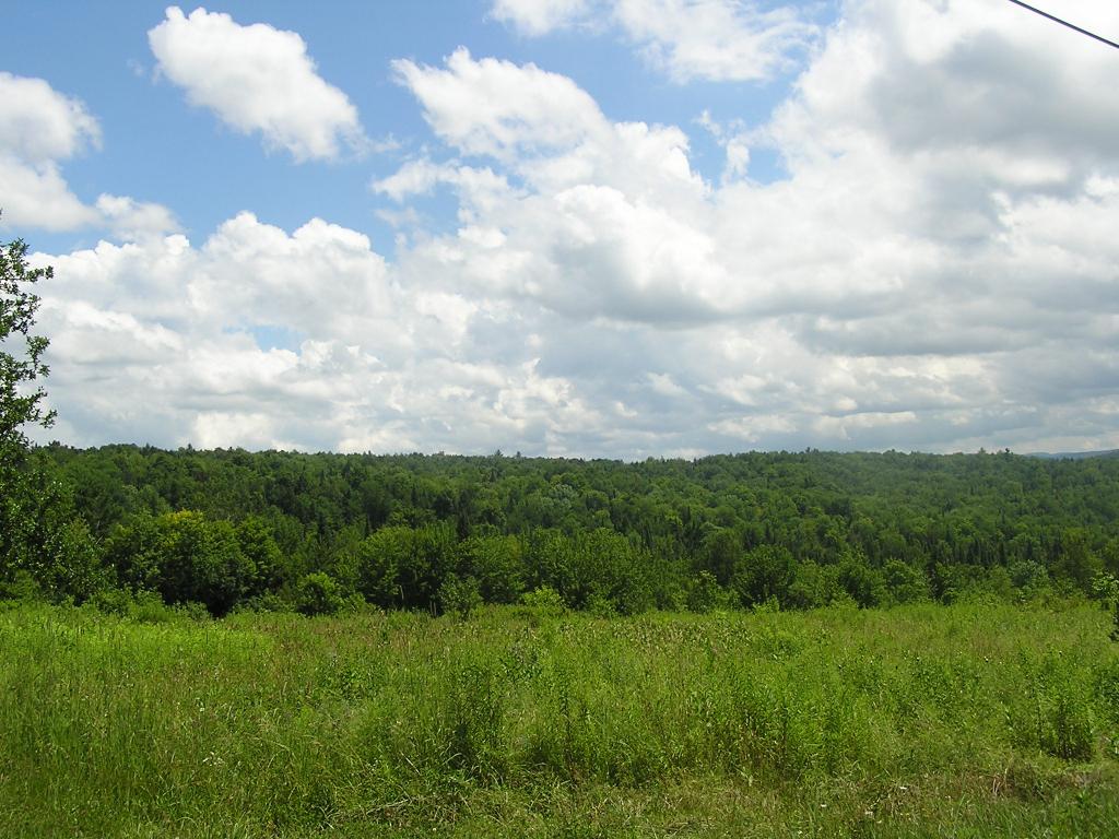 0 Simmons Road Wolcott, VT 05680 - Photo 3 of 8
