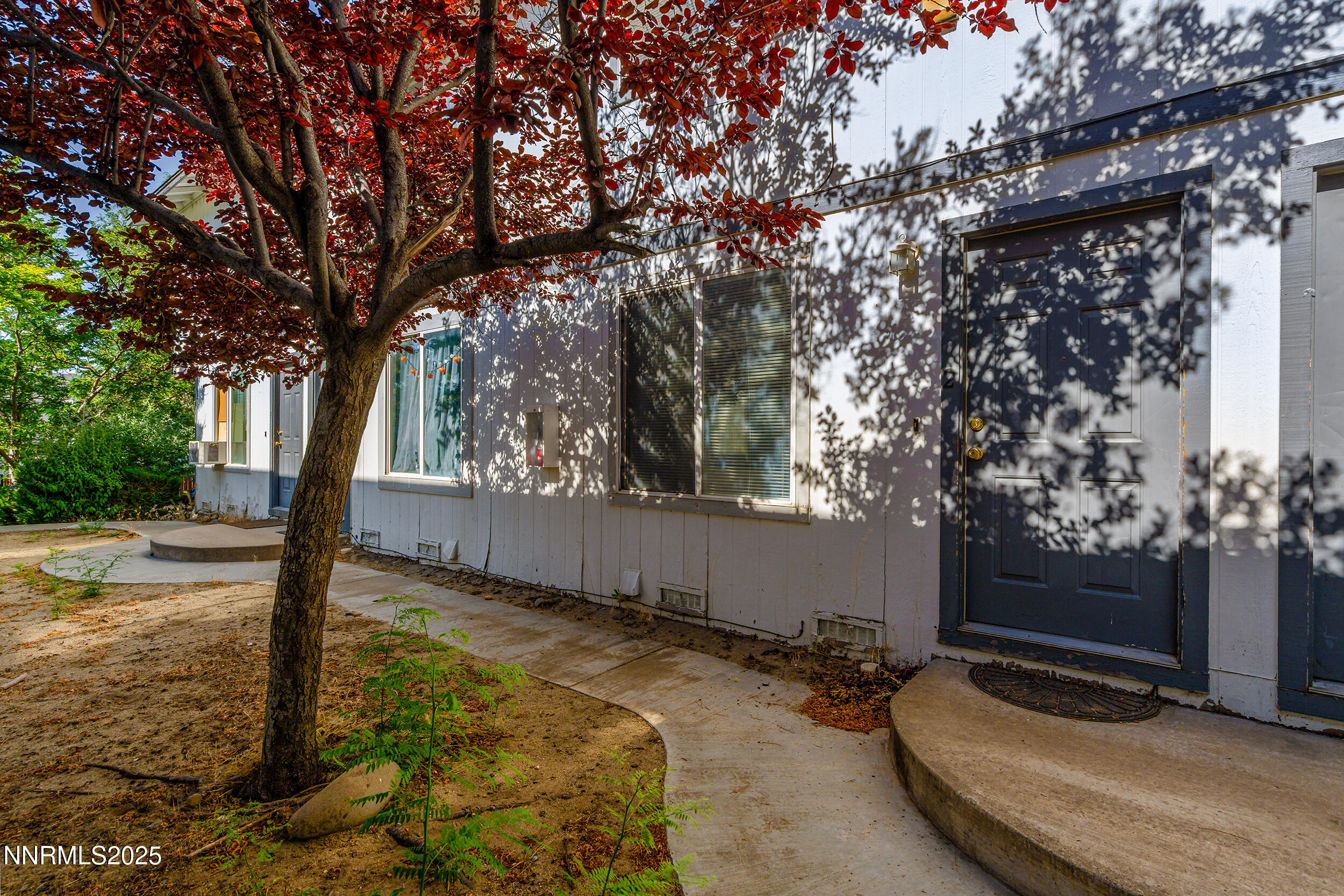 3913 Pheasant Drive Carson City, NV 89701 - Photo 2 of 12 a view of a backyard with large trees
