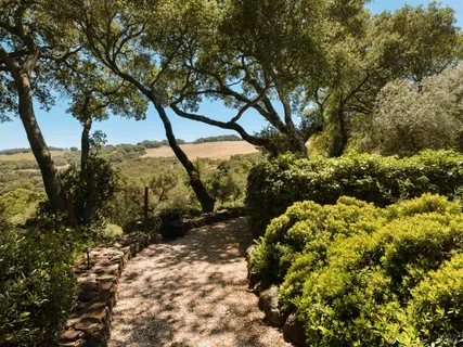 $4,995,000 | 3810 White Alder, Sonoma, CA 95476
