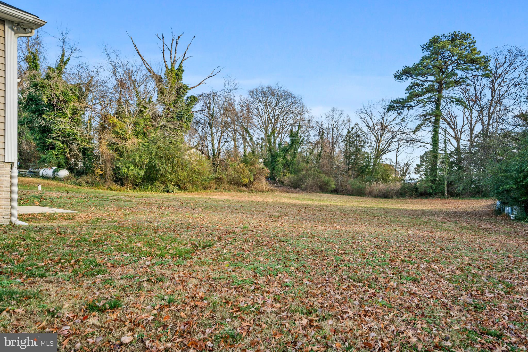 13340 Rousby Hall Road Lusby, MD 20657 - Photo 65 of 71 Backyard