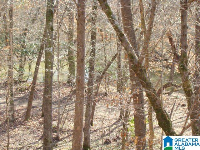 336 Verbon George Road Wellington, AL 36279 - Photo 12 of 25