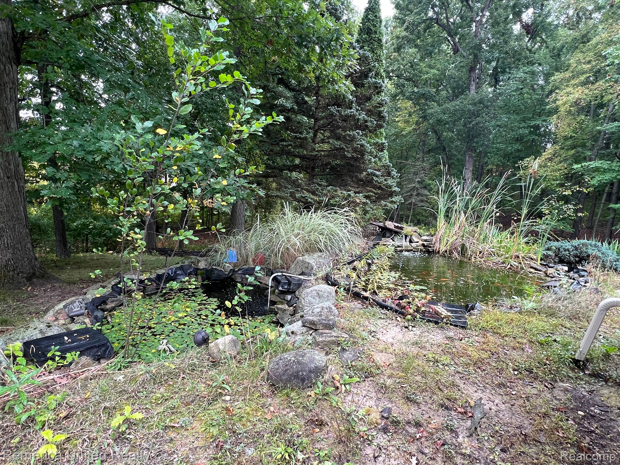 3340 Musson Road Howell, MI 48855 - Photo 6 of 45 2 ponds with fish