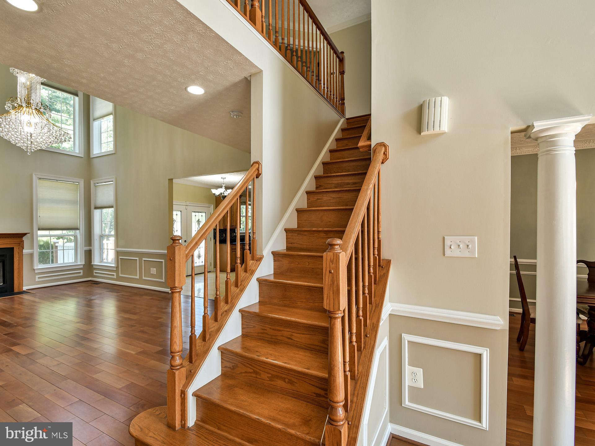 1101 Snider Lane Silver Spring, MD 20905 - Photo 35 of 71 Gallery Image 35