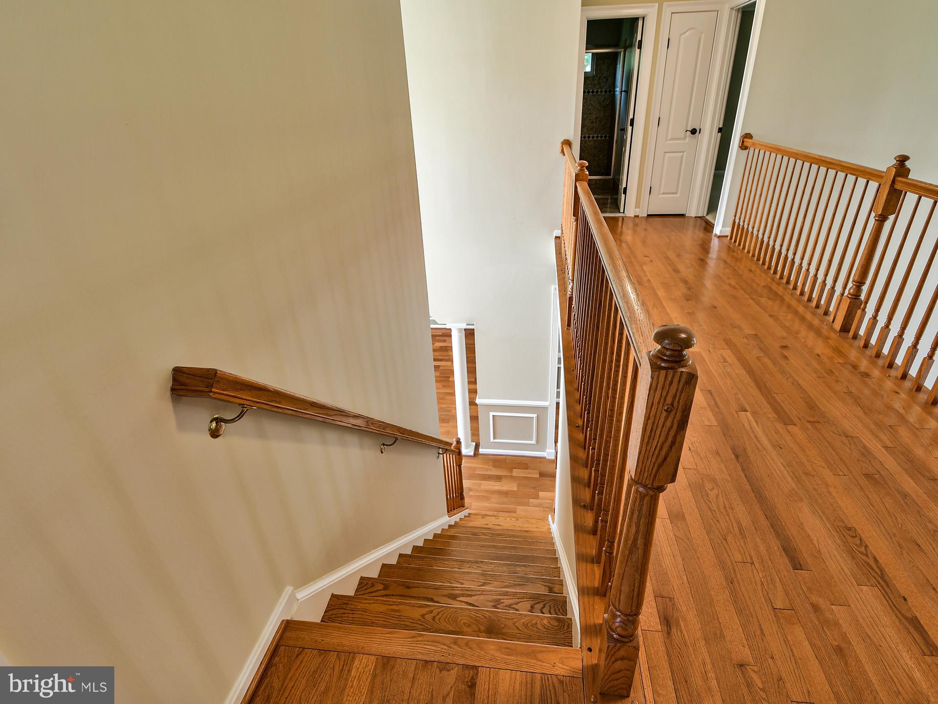 1101 Snider Lane Silver Spring, MD 20905 - Photo 36 of 71 Gallery Image 36
