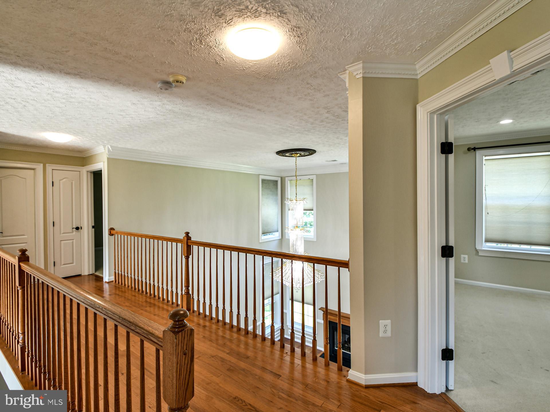 1101 Snider Lane Silver Spring, MD 20905 - Photo 37 of 71 Gallery Image 37