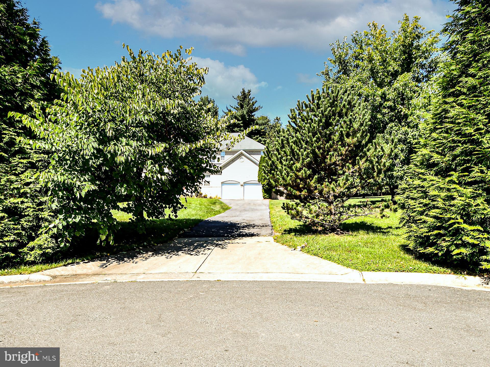 1101 Snider Lane Silver Spring, MD 20905 - Photo 4 of 71 Gallery Image 4