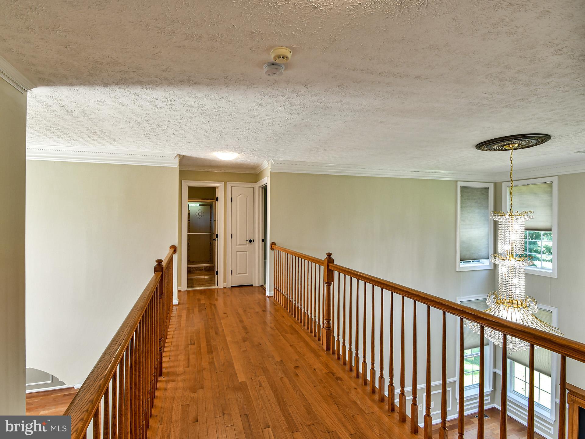 1101 Snider Lane Silver Spring, MD 20905 - Photo 53 of 71 Gallery Image 53