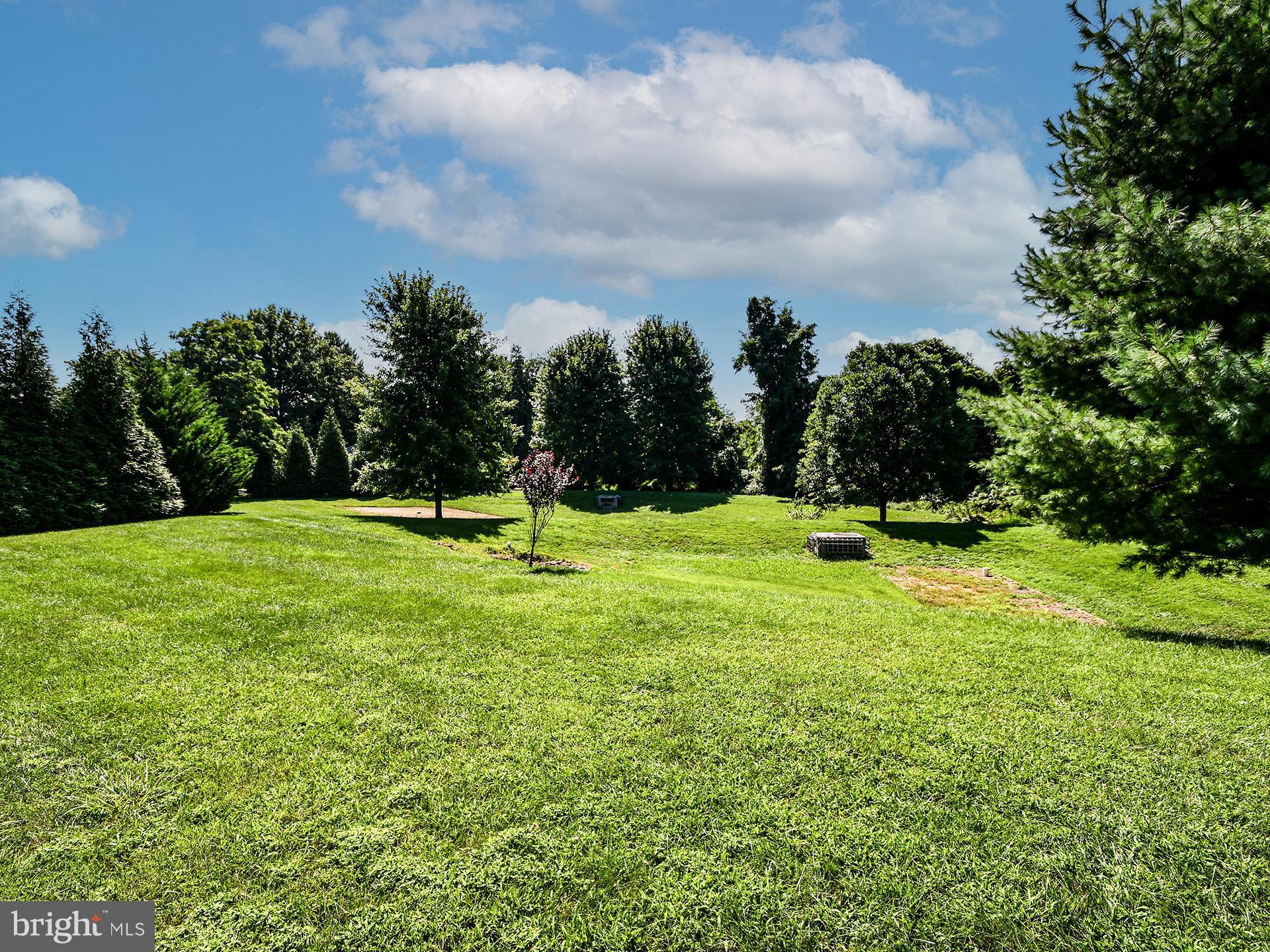 1101 Snider Lane Silver Spring, MD 20905 - Photo 66 of 71 Gallery Image 66
