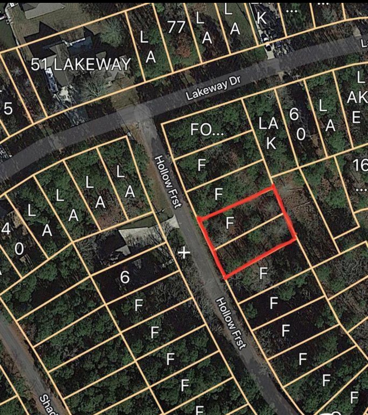 0 Forest Hollow Trinity, TX 75862 - Photo 3 of 8