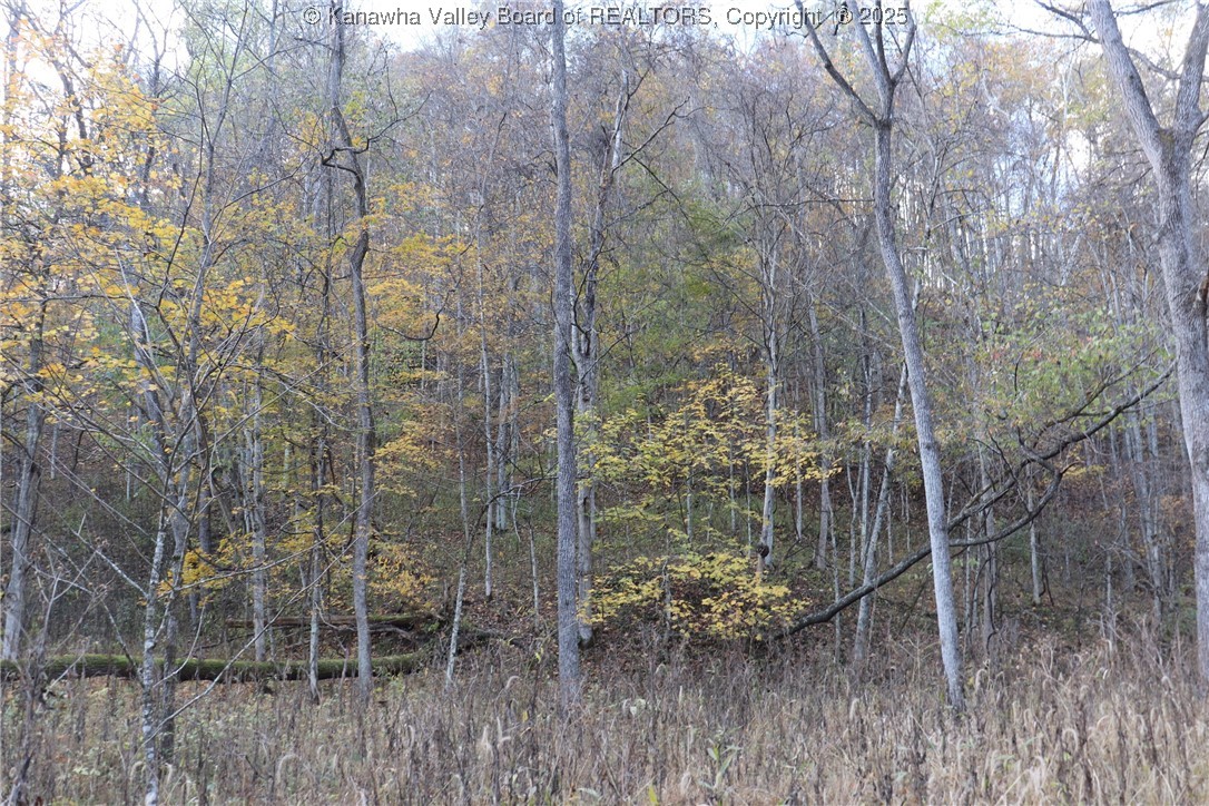 6 Sigman Frk Road Liberty, WV 25124 - Photo 11 of 47 Gallery Image 11
