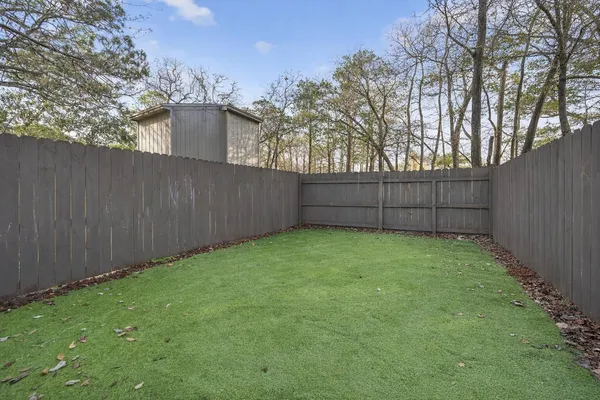a view of backyard and tree
