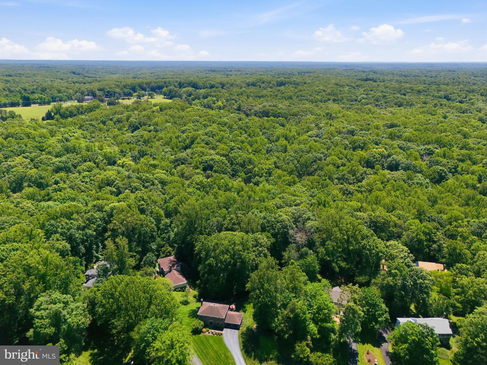 11661 Captain Rhett Lane Fairfax Station, VA 22039 - Photo 19 of 21