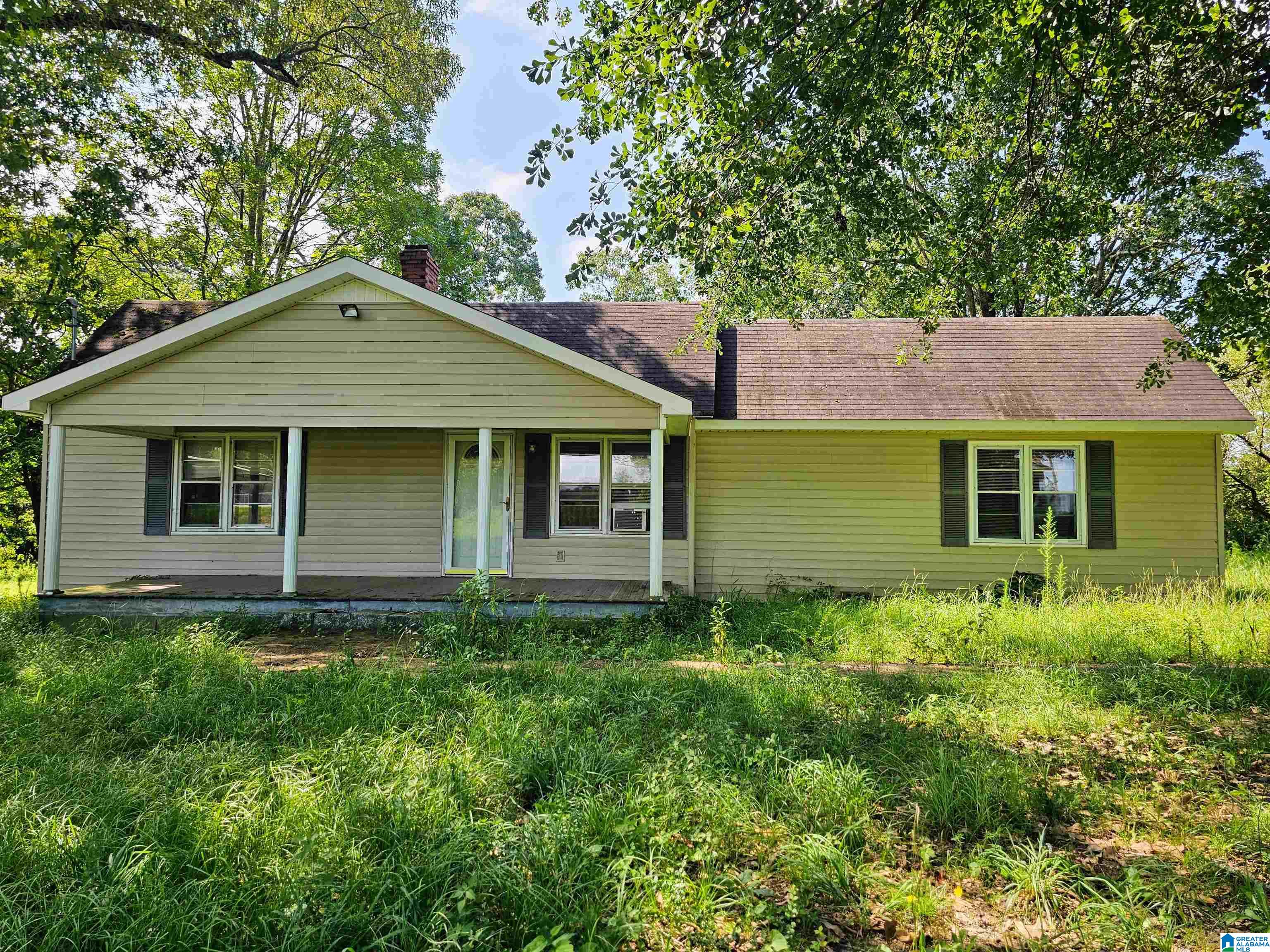 22302 Main Street Ranburne, AL 36273 - Photo 1 of 16