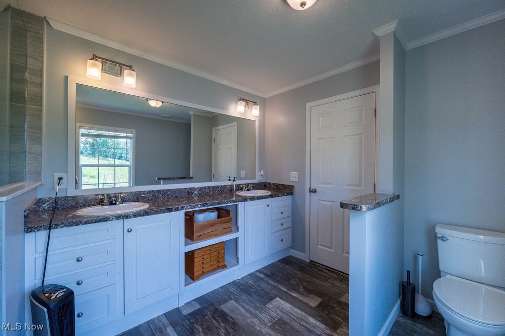 560 Wine Road Elizabeth, WV 26143 - Photo 31 of 50 Full bath with double vanity, dark wood-style flooring, and crown molding