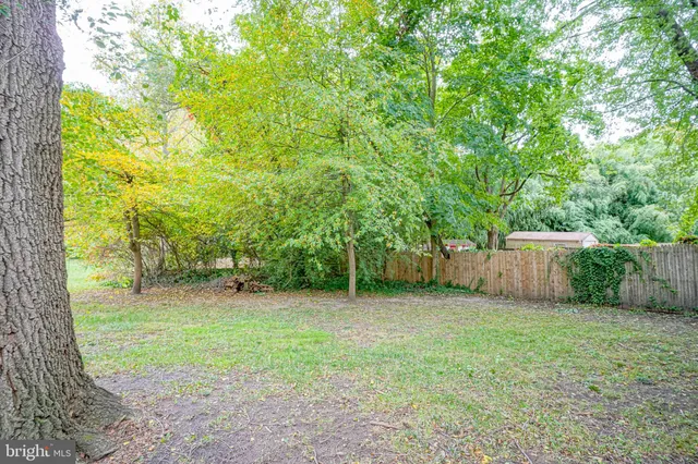 a view of a backyard with a tree