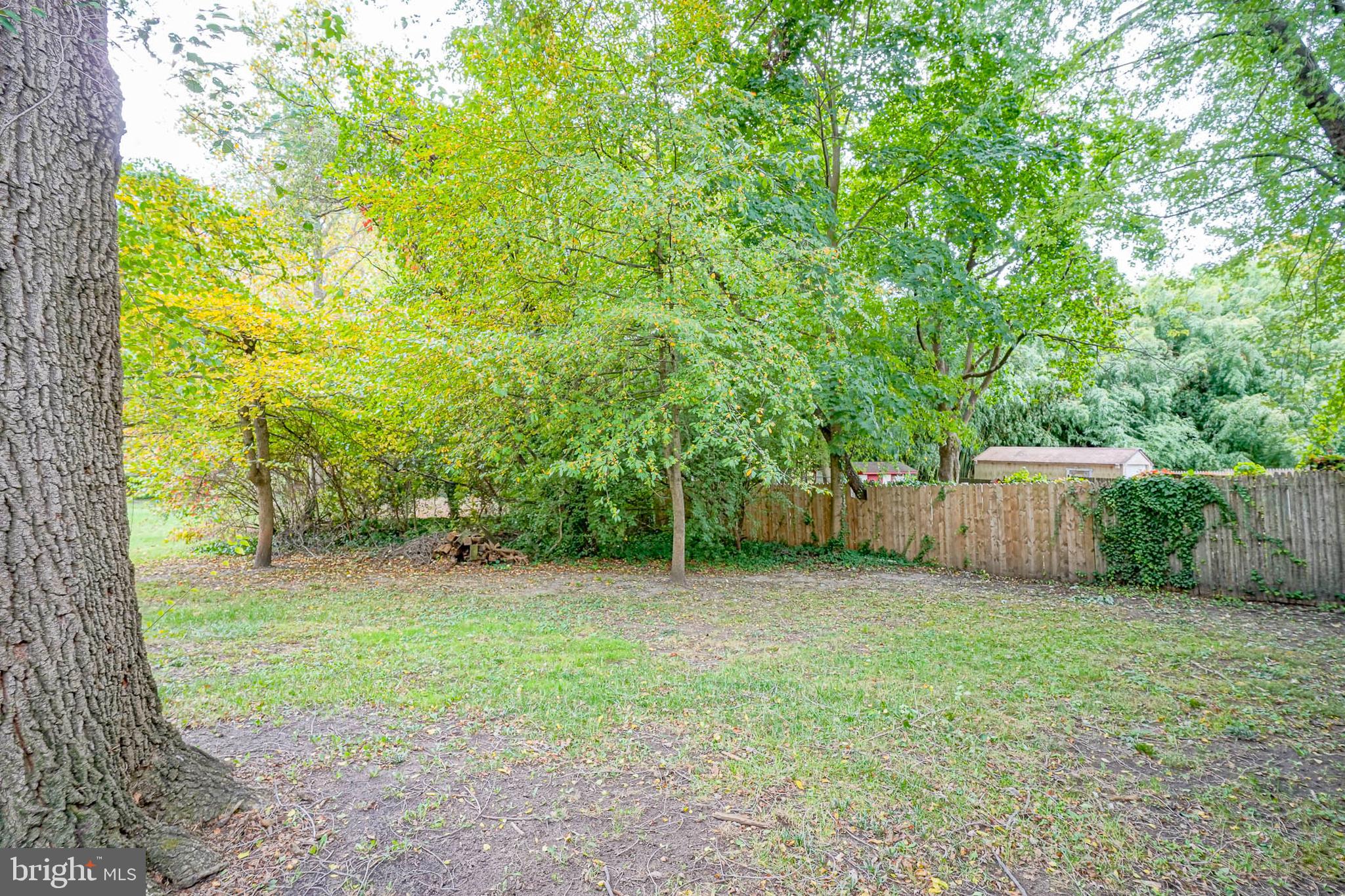 46 Brainerd Street, Unit A Mount Holly, NJ 08060 - Photo 3 of 19 a view of a backyard with a tree