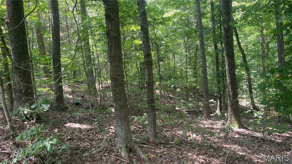920 South Poplar Camp Road Makanda, IL 62958 - Photo 20 of 53