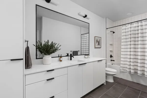 a bathroom with a sink and a large mirror