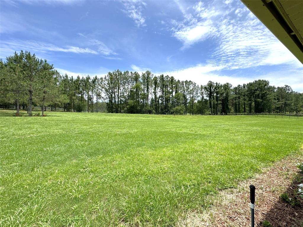 1724 East Gate Dancer Circle Inverness, FL 34453 - Photo 29 of 30