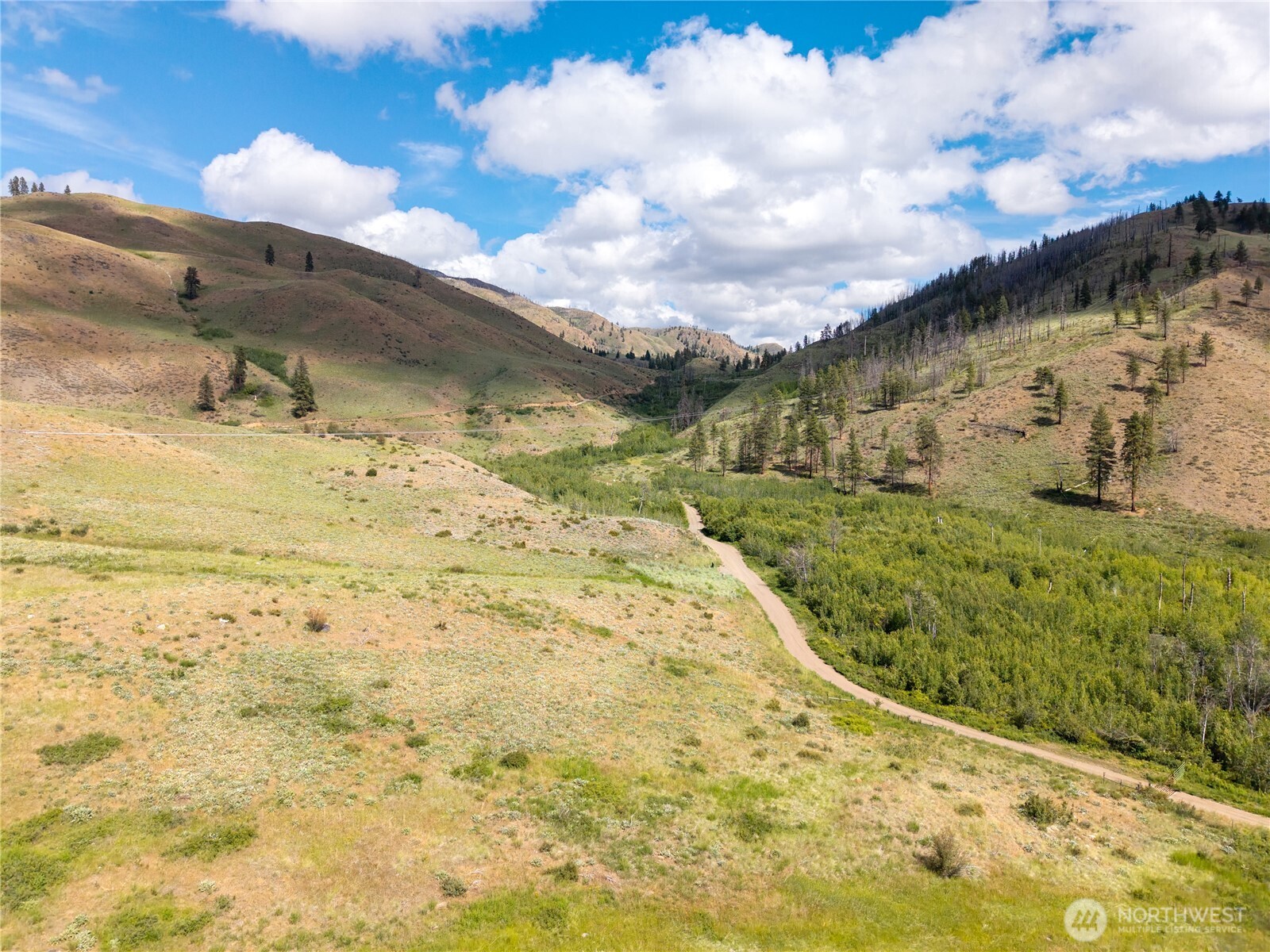 -tbd Bear Creek Road Winthrop, WA 98862 - Photo 20 of 30