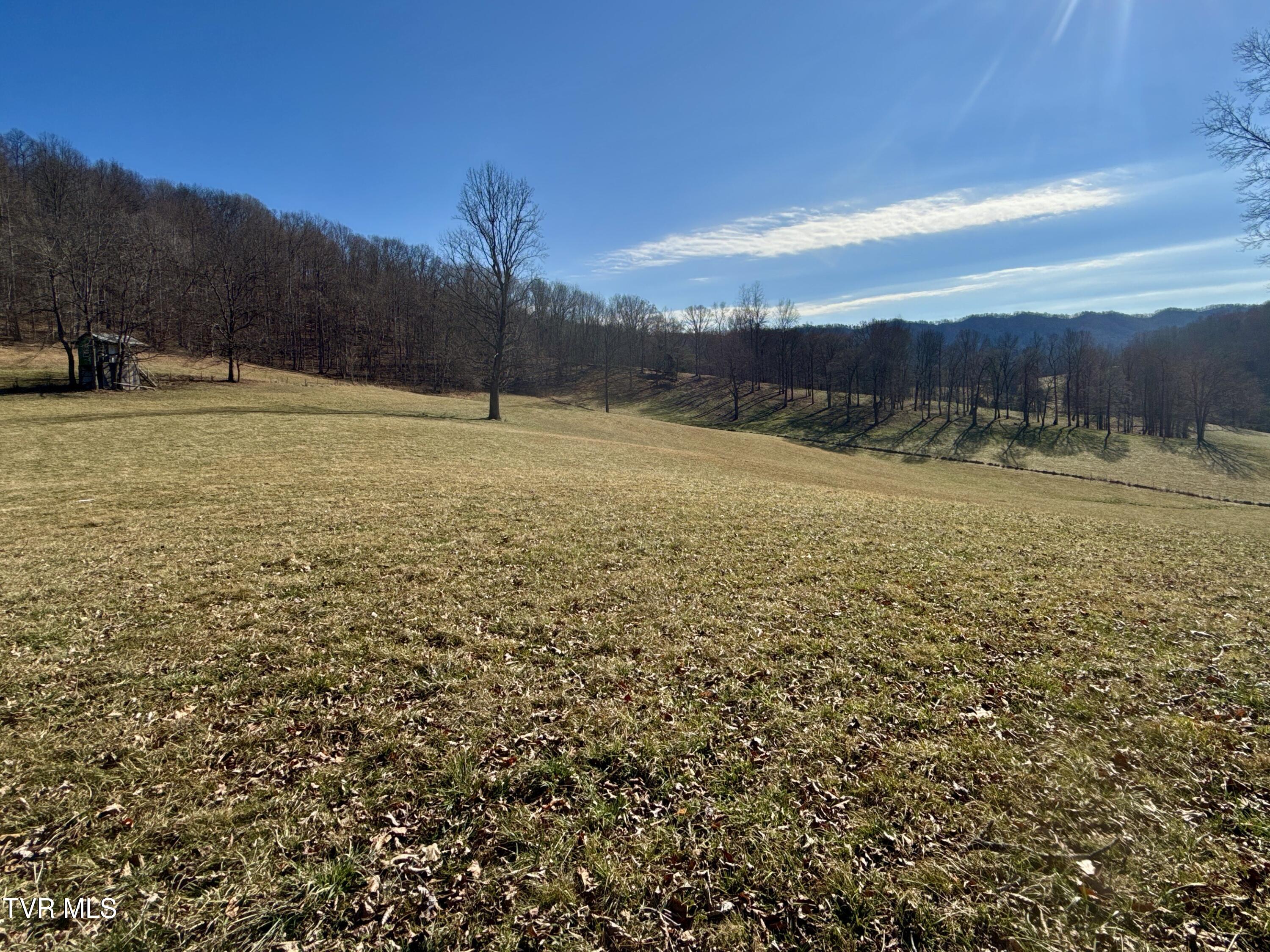 219 Ridge Road Eidson, TN 37731 - Photo 60 of 72 _Pic50 (11)