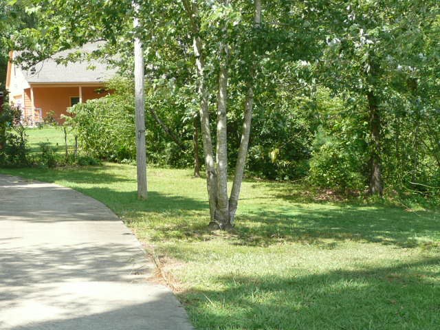 7138 Allison Road Olive Branch, MS 38654 - Photo 5 of 25 Gallery Image 5