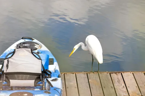 a picture of a bench in a room