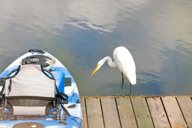 $6,300,000 | 297 Seadrift Road, Stinson Beach, CA 94970