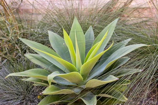 $6,300,000 | 297 Seadrift Road, Stinson Beach, CA 94970