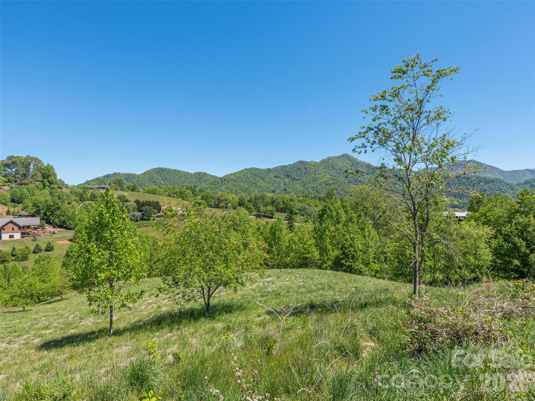 0 Inheritance Mountain Road Waynesville, NC 28785 - Photo 5 of 20