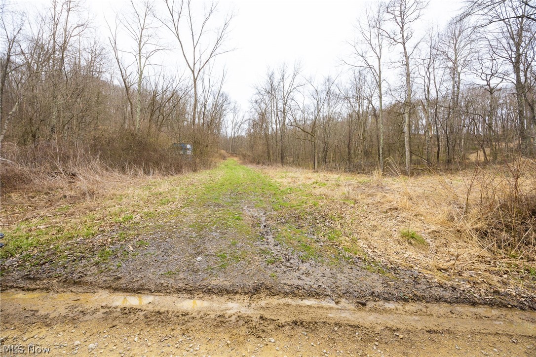 71 Township Road Killbuck, OH 44637 - Photo 5 of 39