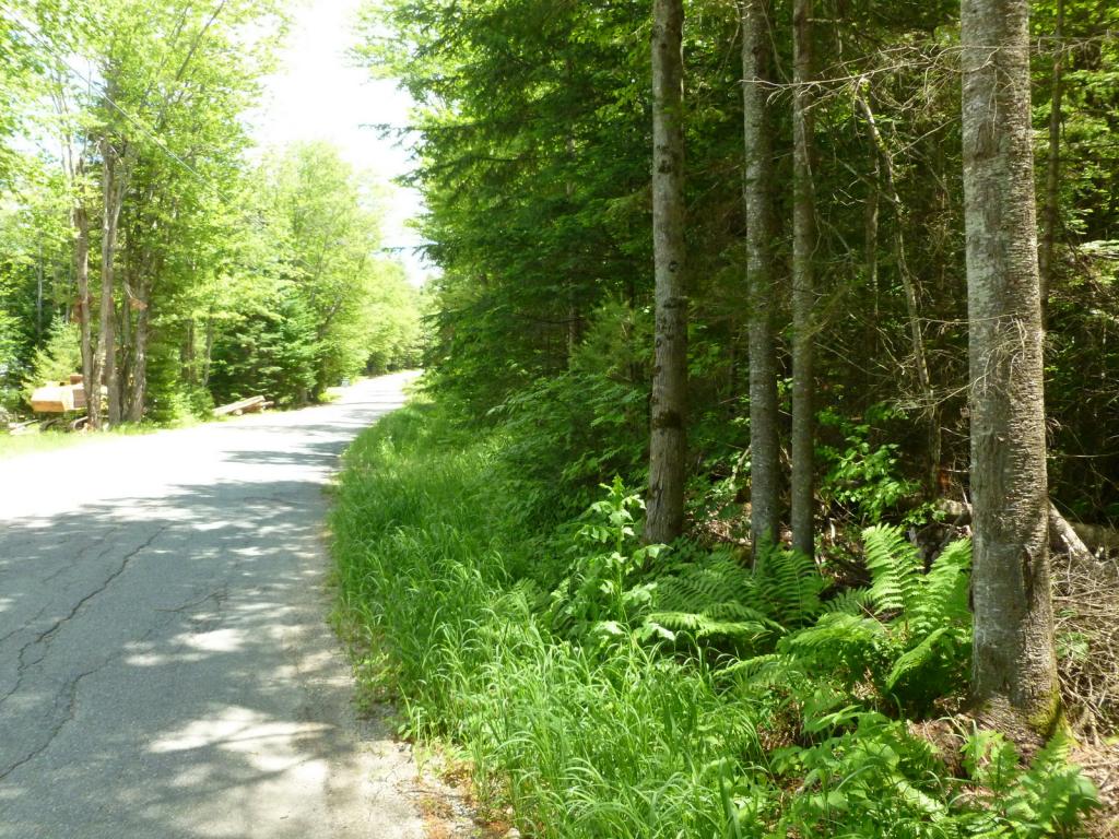 0 Cherry Valley Road Bethlehem, NH 03574 - Photo 1 of 9