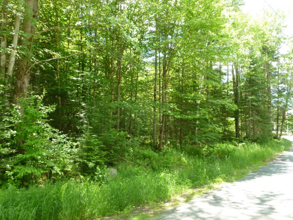0 Cherry Valley Road Bethlehem, NH 03574 - Photo 3 of 9