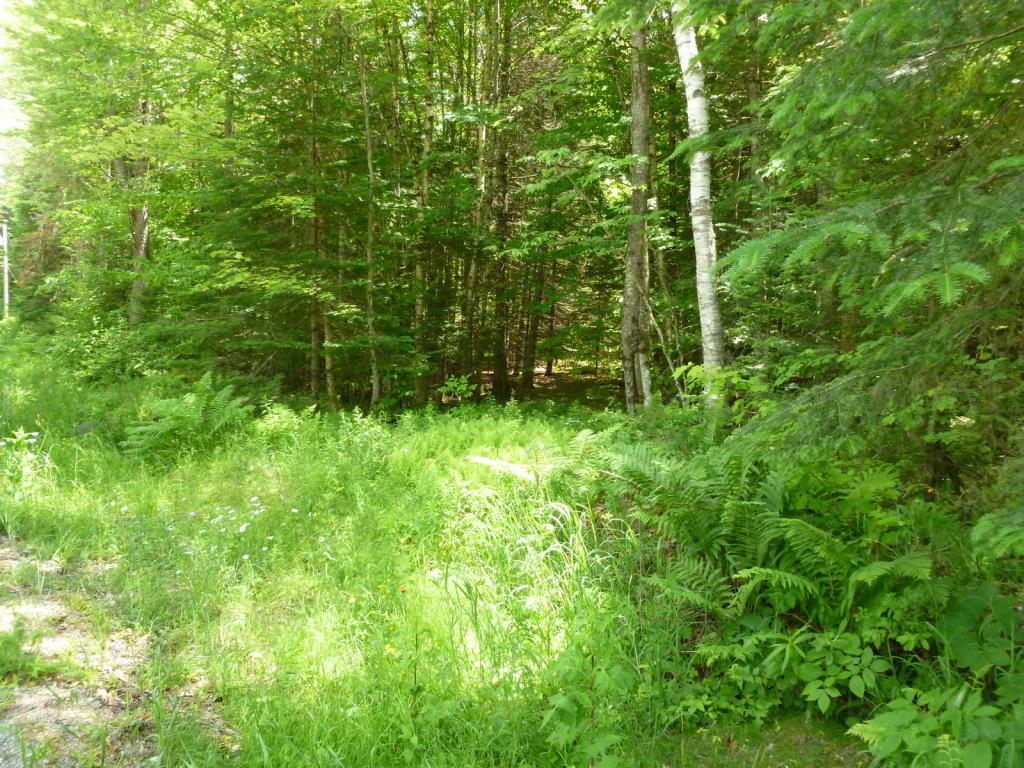 0 Cherry Valley Road Bethlehem, NH 03574 - Photo 4 of 9