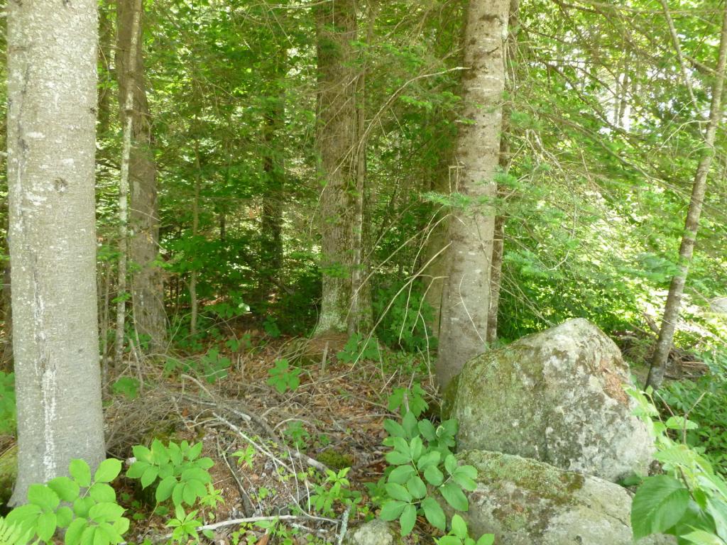 0 Cherry Valley Road Bethlehem, NH 03574 - Photo 5 of 9