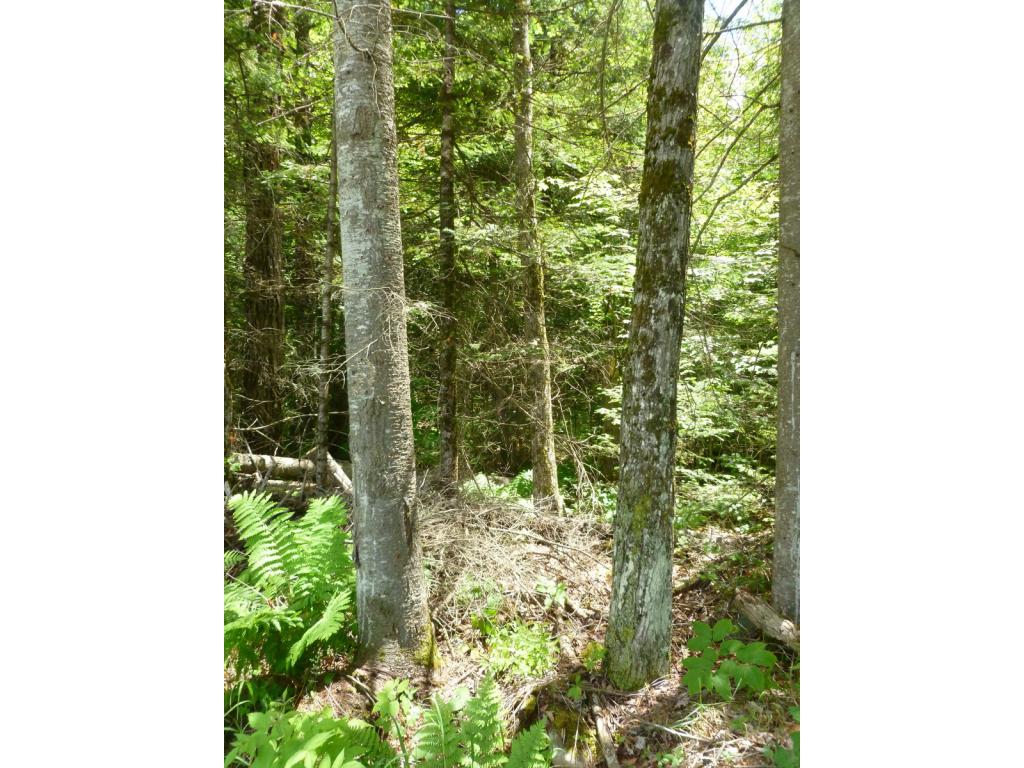 0 Cherry Valley Road Bethlehem, NH 03574 - Photo 6 of 9