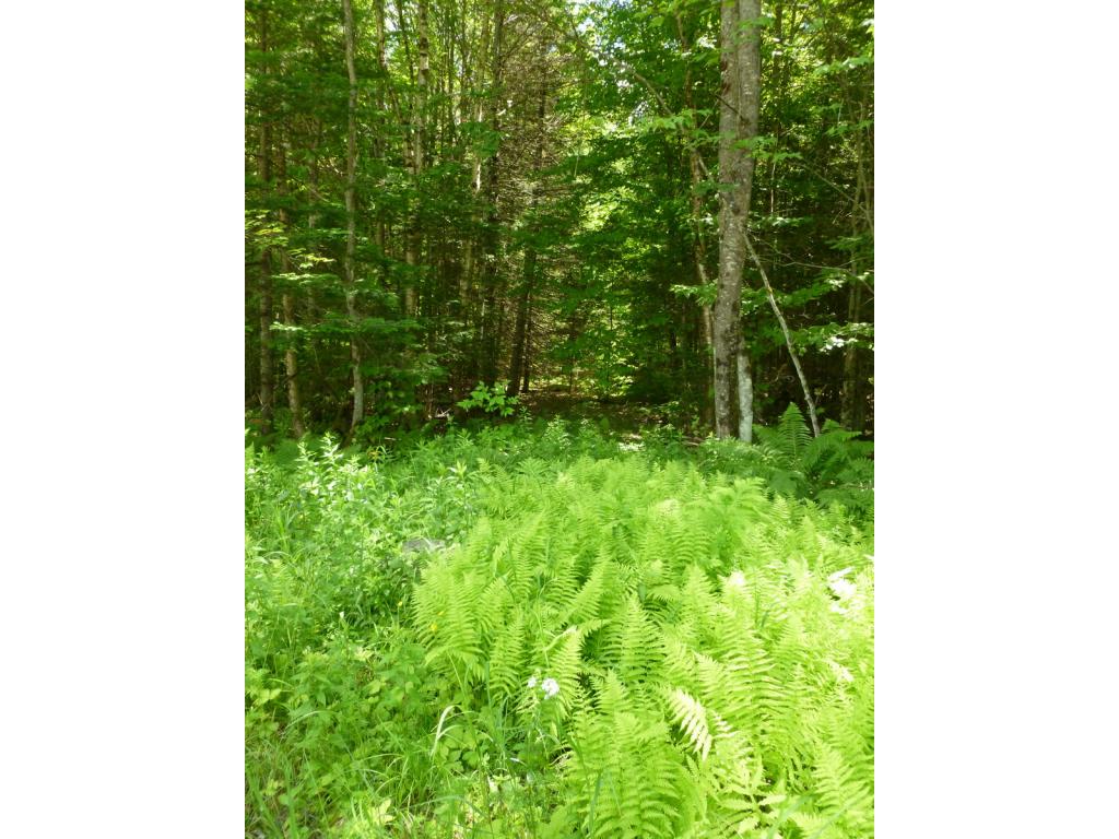 0 Cherry Valley Road Bethlehem, NH 03574 - Photo 7 of 9