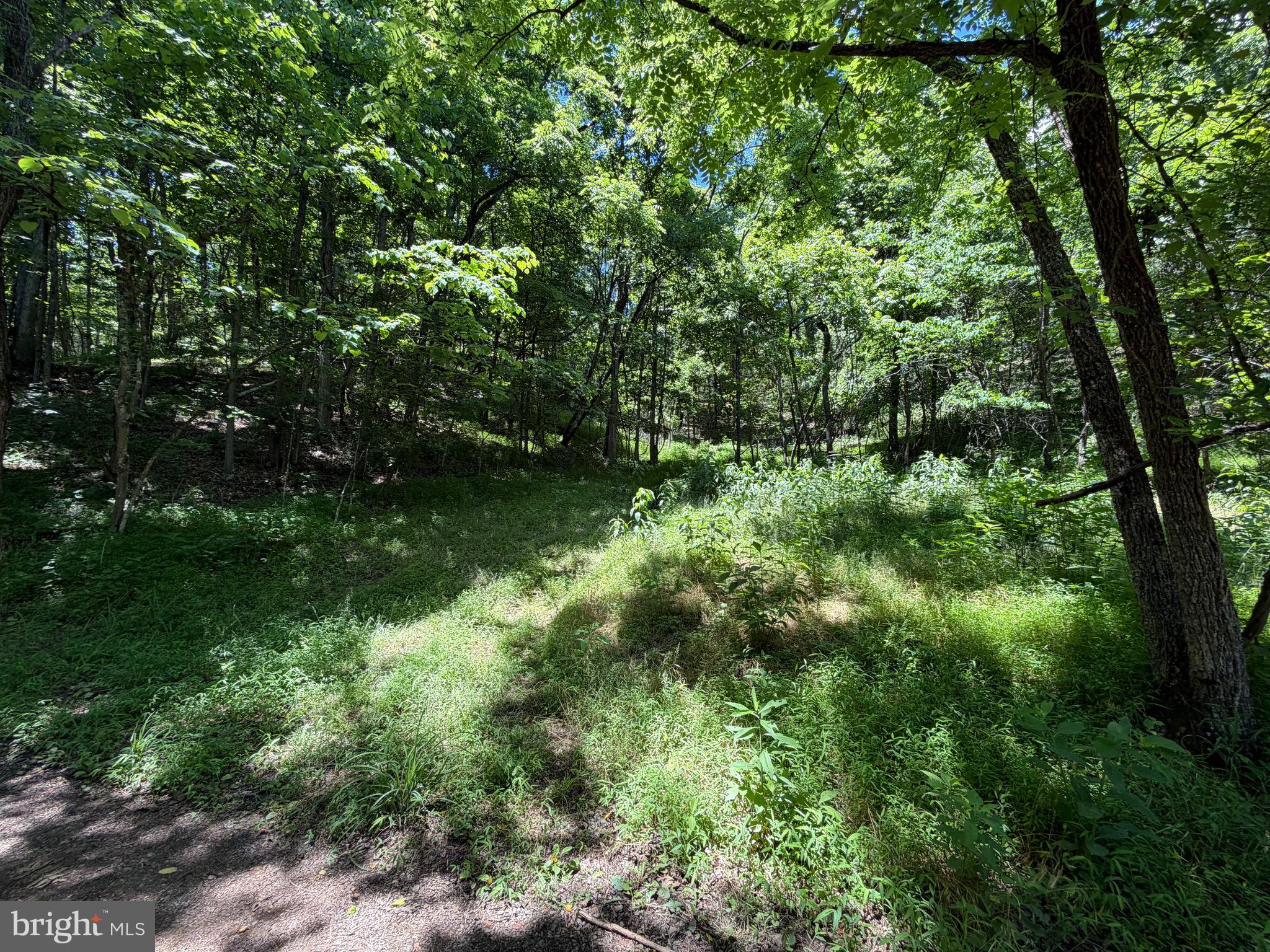 511 Chickadee Road Purgitsville, WV 26852 - Photo 40 of 99