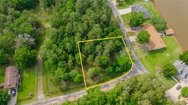 a view of a yard with plants and a small pool