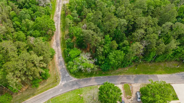 a close up of a plant in a garden