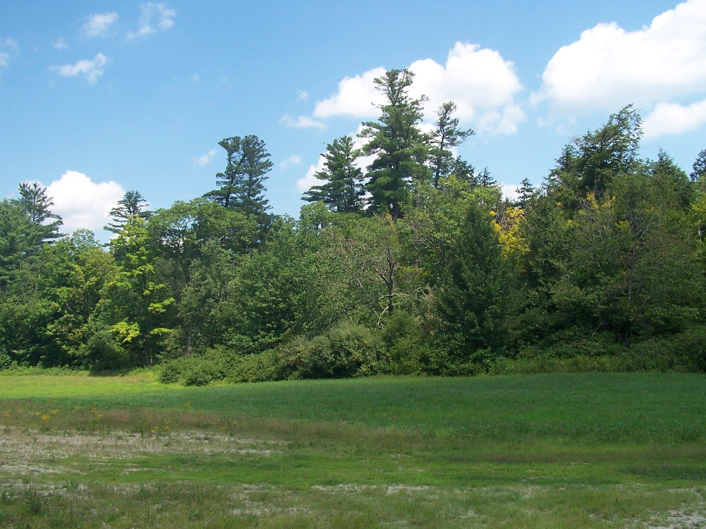 19 A Center Road Bradford, NH 03221 - Photo 11 of 41 Gallery Image 11