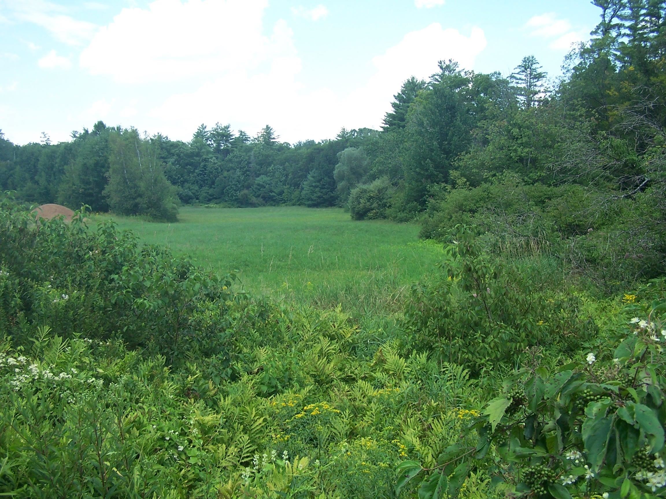 19 A Center Road Bradford, NH 03221 - Photo 21 of 41 Gallery Image 21