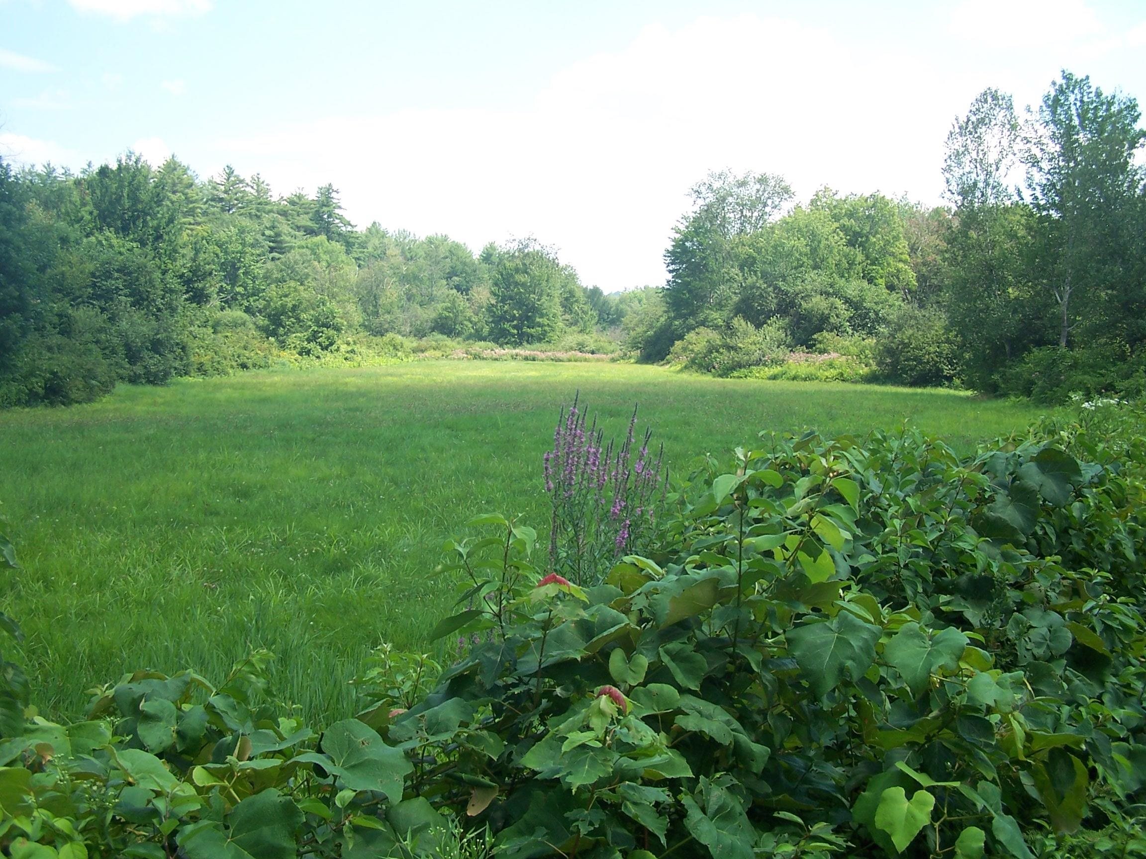 19 A Center Road Bradford, NH 03221 - Photo 23 of 41 Gallery Image 23