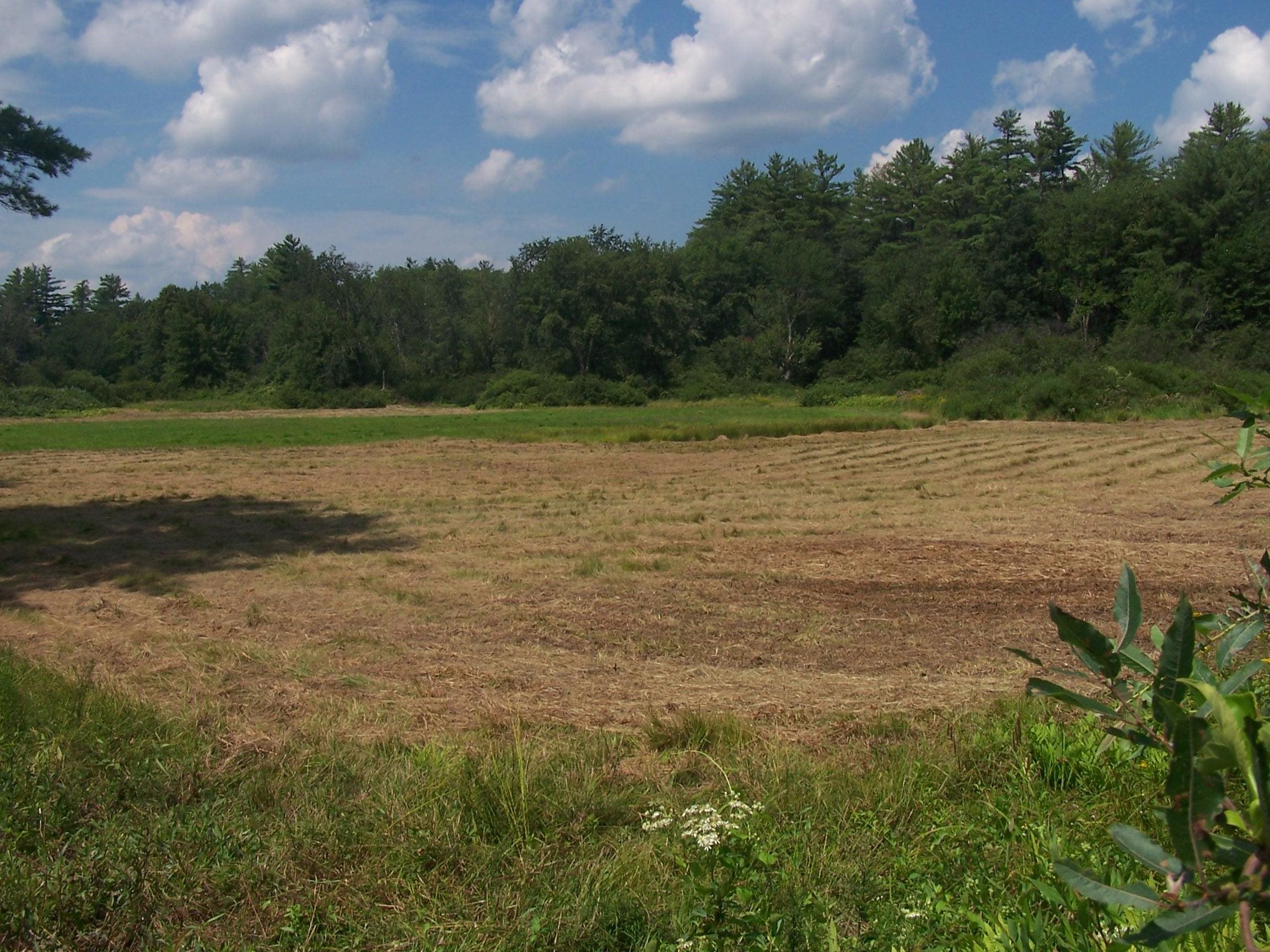 19 A Center Road Bradford, NH 03221 - Photo 24 of 41 Gallery Image 24