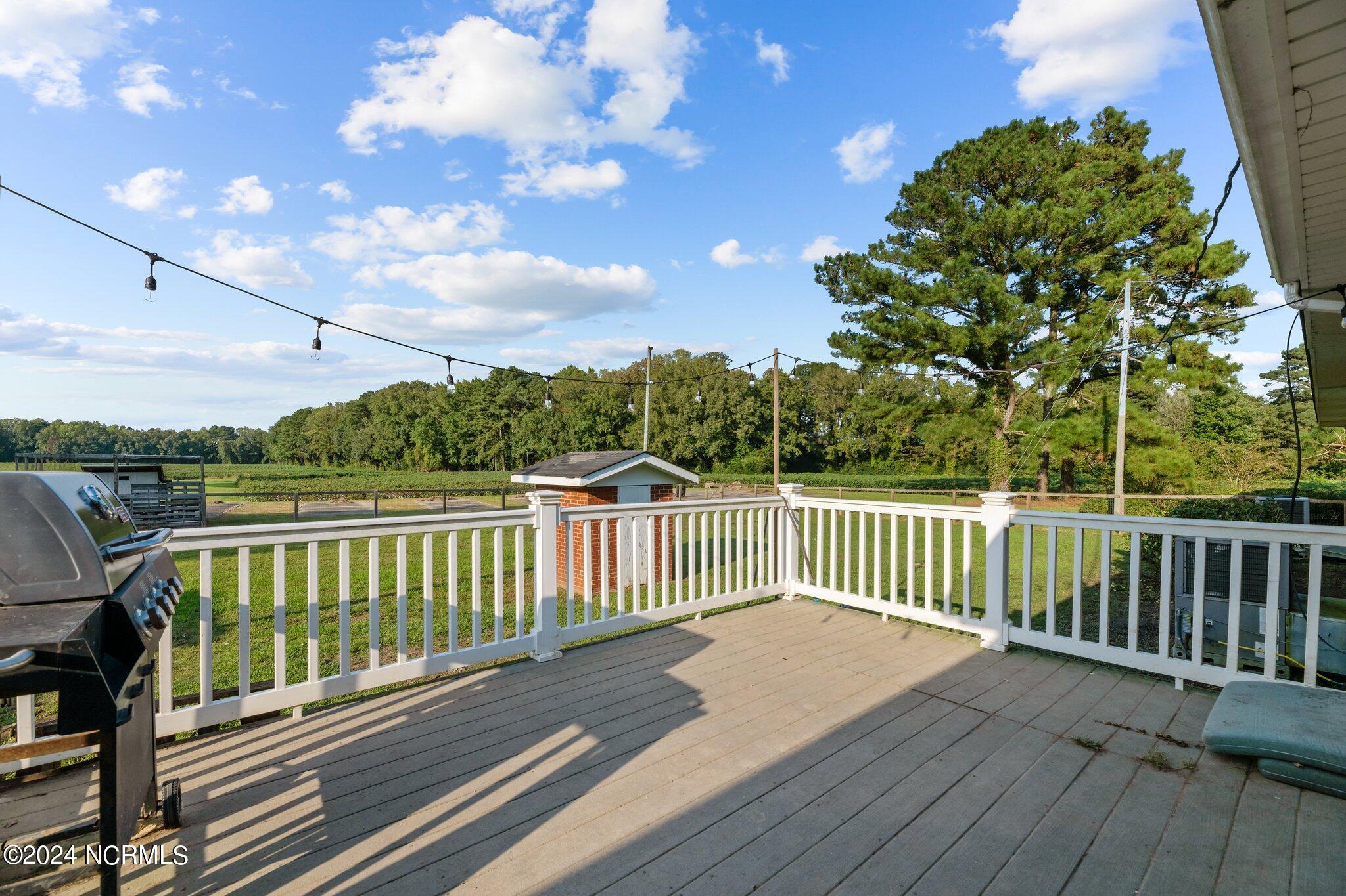775 Gray Road Vanceboro, NC 28586 - Photo 32 of 48 49-web-or-mls-DSC_1015