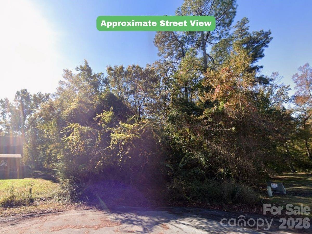 0 Roland Hills Burgaw, NC 28425 - Photo 3 of 21 a view of a yard with an tree