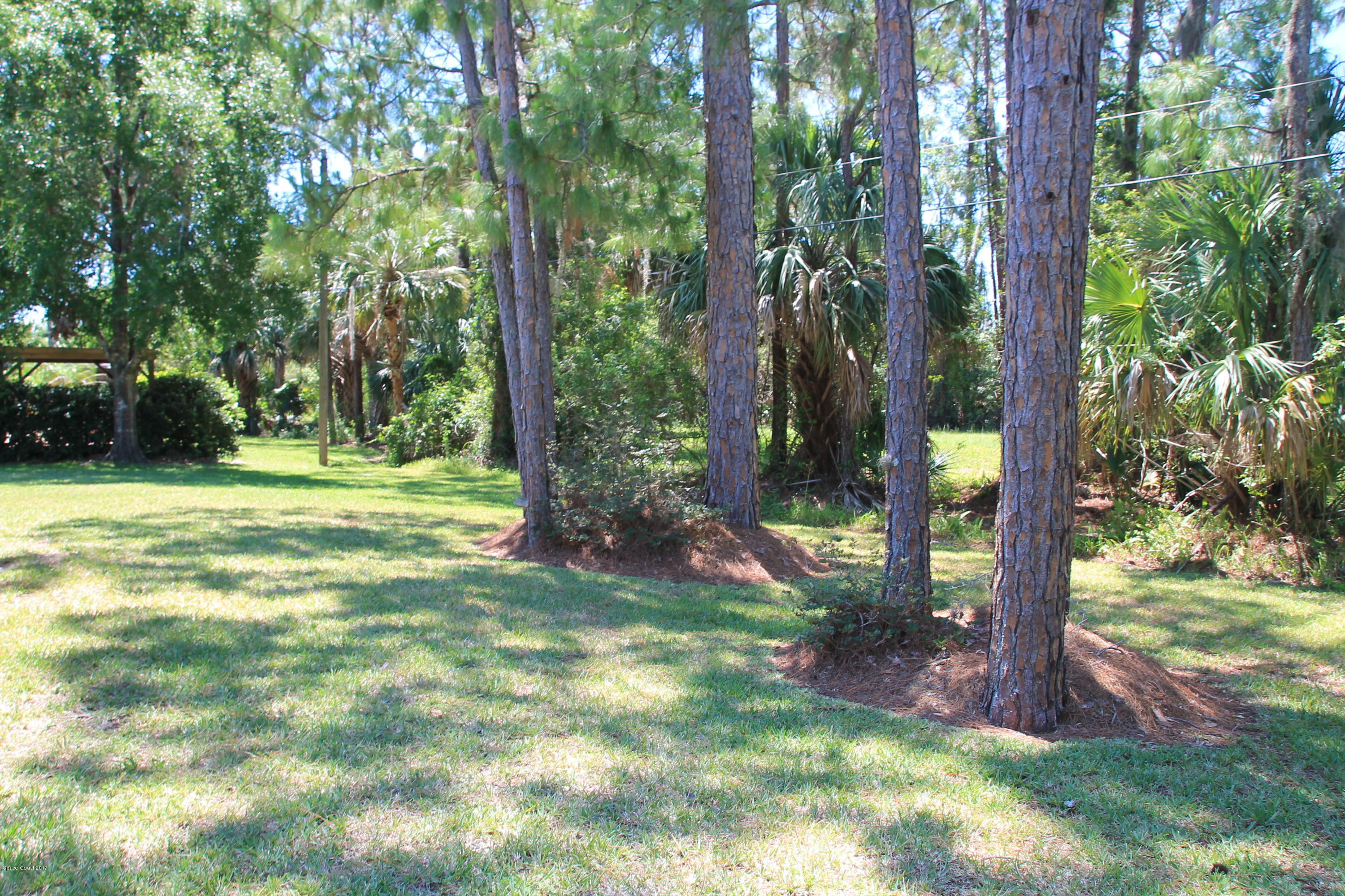 398 Hurst Road Northeast Palm Bay, FL 32907 - Photo 20 of 22 Wooded Backyard