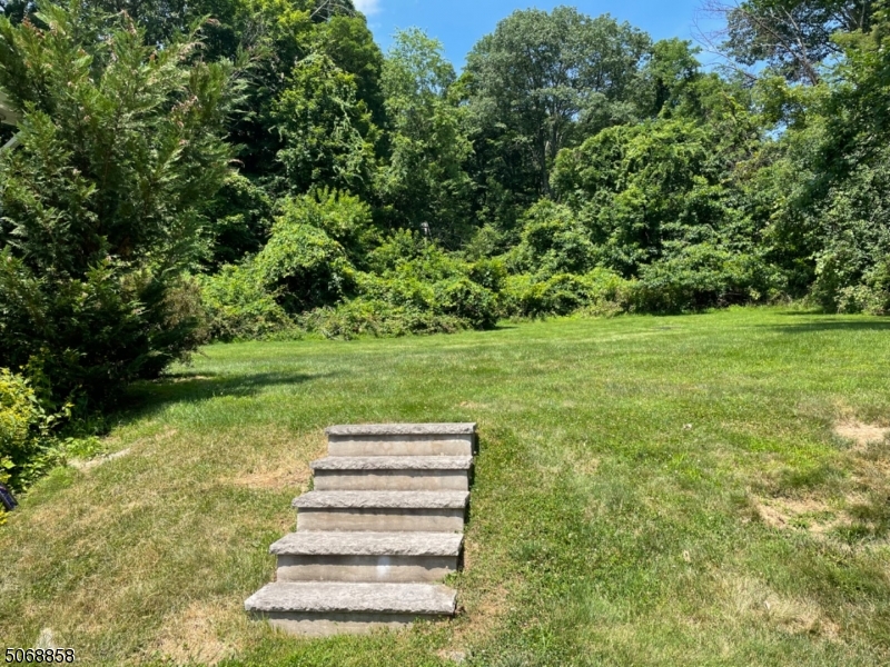 26 Old Brookside Road Randolph, NJ 07869 - Photo 3 of 5 a view of a park with large trees